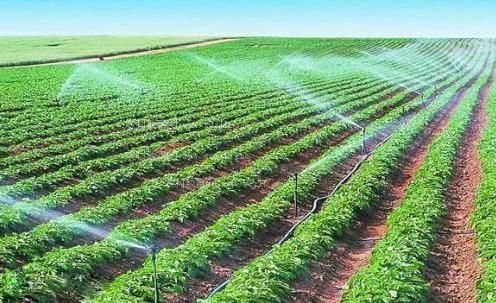 好骚h农田高 效节水灌溉
